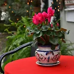 Filoxenia 酒店 波尔塔里亚