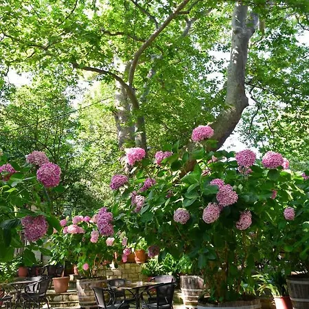 Otel Filoxenia Portariá