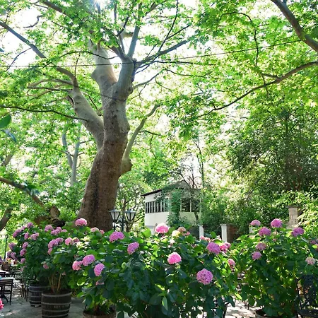 Filoxenia Hotel Portariá