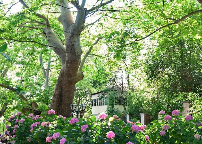 Filoxenia Hotel Portariá
