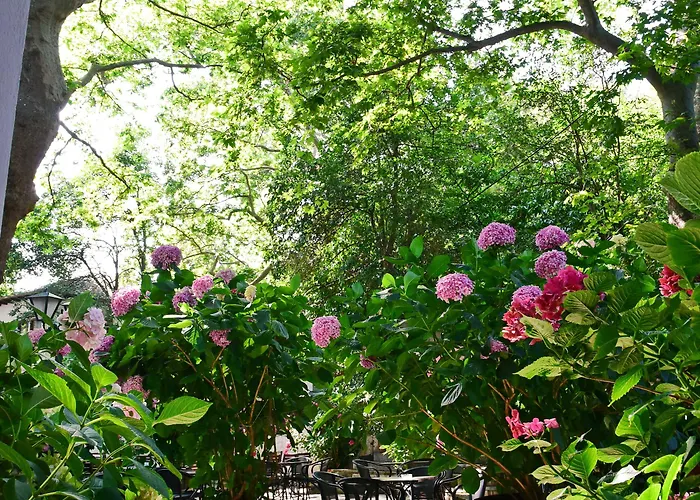 Filoxenia 2* Portariá