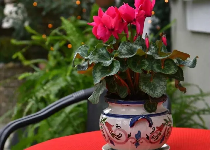 Filoxenia فندق بورتاريا